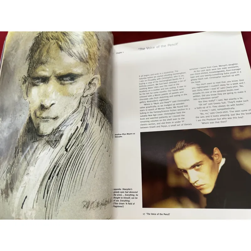 Sách ngoại văn tiếng Anh - The art of Gormenghast 926928