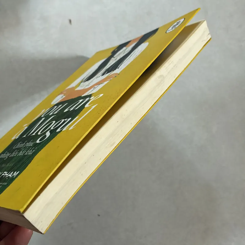 Chinh phục điều bất khả thi - Tiffany Phạm 801114