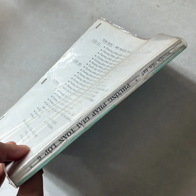 Phương pháp giải toán 6 tập 2 739192