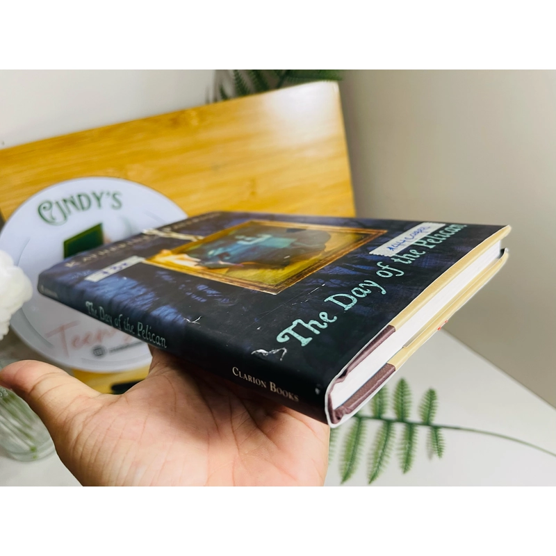  [Sách 2hand từ US] Like new 90% - Come, Llamas của Jennifer Morris 476679