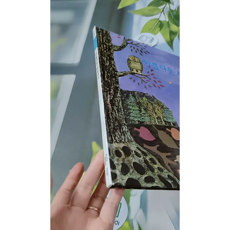 [Tặng nẹp góc] Truyện thiếu nhi Hàn Quốc: Moyamo Anu 54 -  모야모 아누와: 아름다운 바실리사 732058