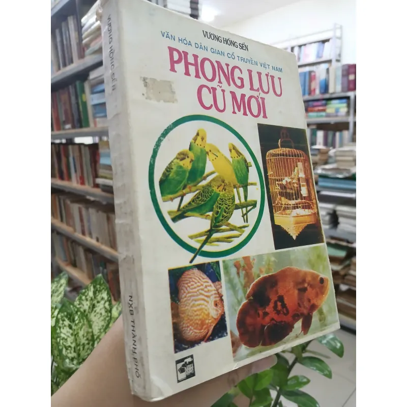 PHONG LƯU CŨ MỚI - VƯƠNG HỒNG SỂN 571702