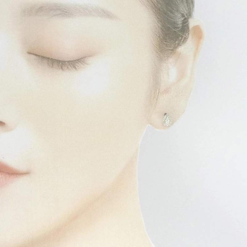 PT900 Bông tai kim cương 0.34CT - Hàng hiệu Chính hãng 877068