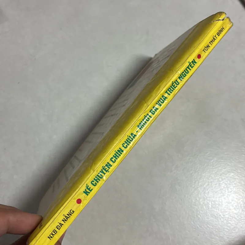 Kể chuyện chín chúa - mười ba vua Triều Nguyễn - Tôn Thất Bình 778675