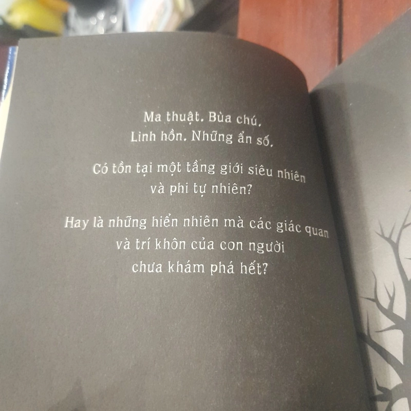 CHIẾC VÒNG MA MỊ 519465