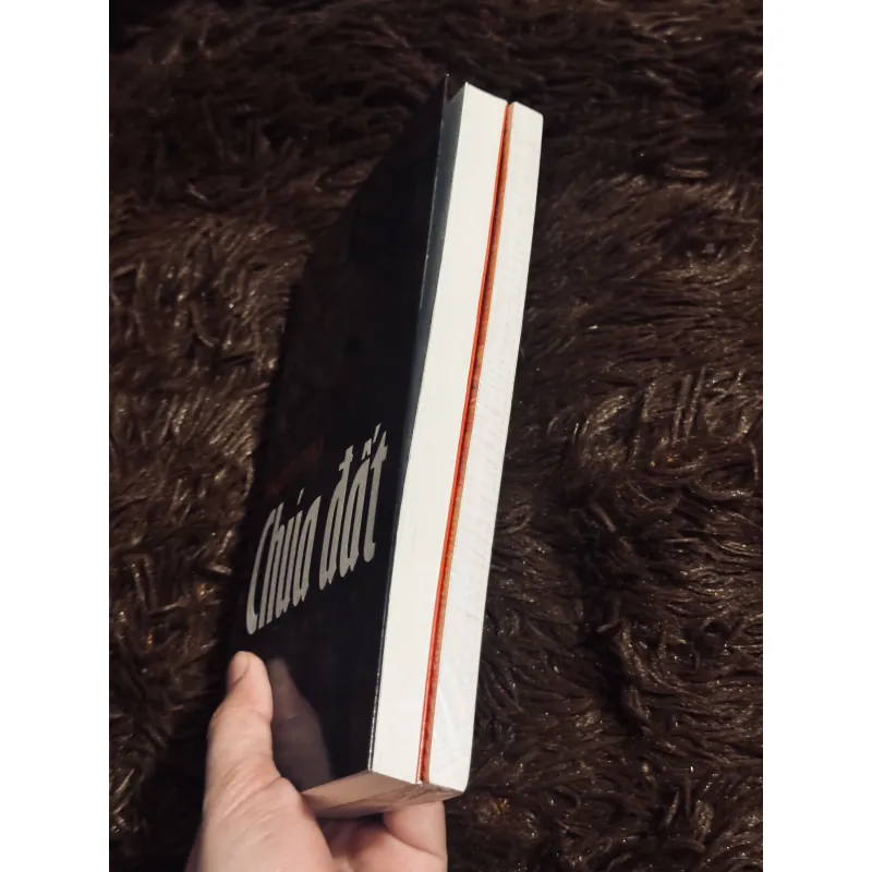 Combo chúa đất + đến độ hoa vàng (seal) 992162