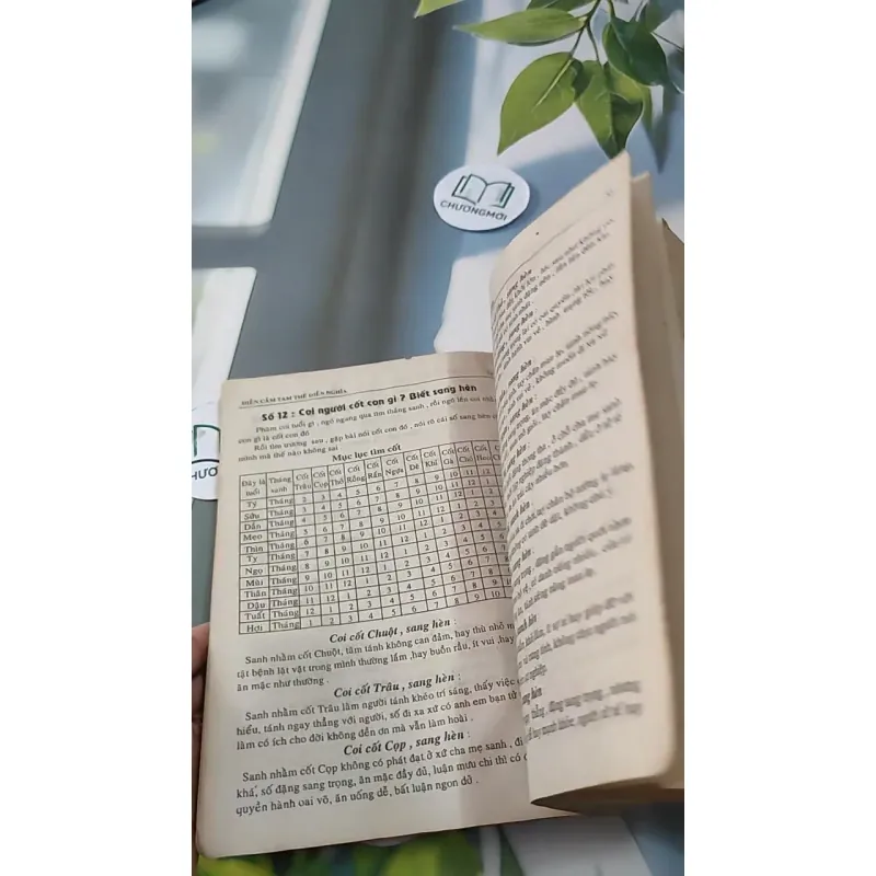 [MIỄN PHÍ BỌC SÁCH] Diện Cẩm Tam Thế - Dương Công Hầu 727288