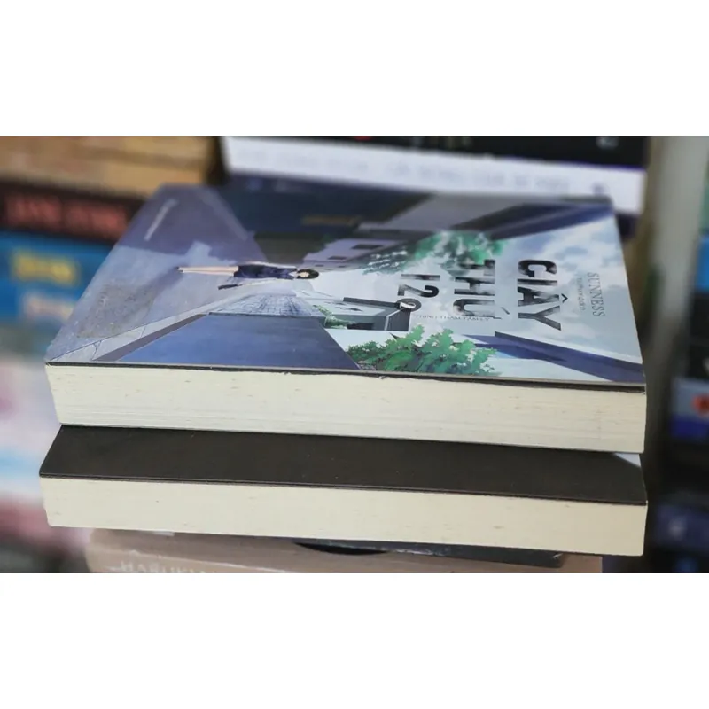 Trọn bộ 2 tập trinh thám tâm lý GIÂY THỨ 12, tác giả Tòng Dương (Sunness) 735989