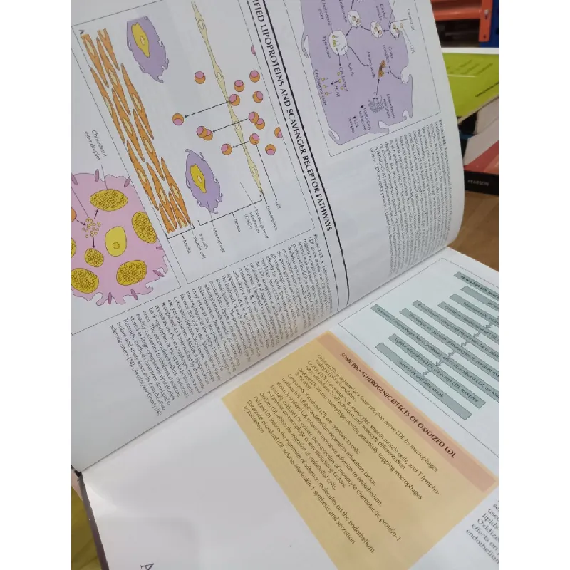 Essential atlas of Heart Diseases - Eugene Braunwald 593970