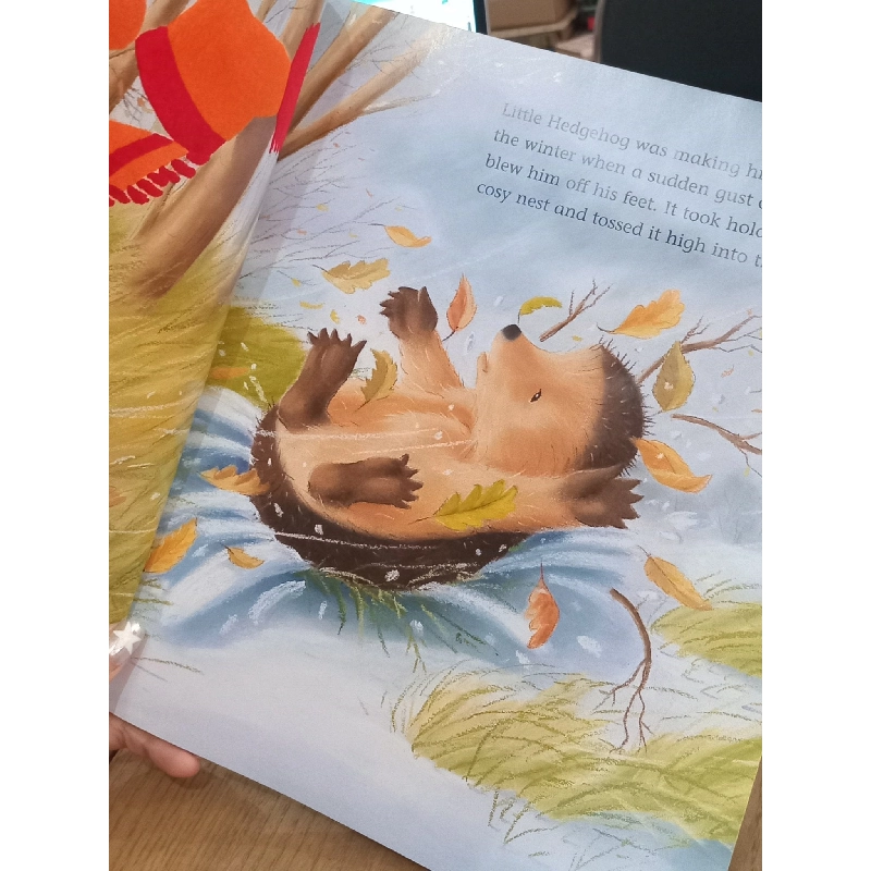 One Winter's Day - M Christina Butler, Tina Macnaughton - Little Tiger Press 995423