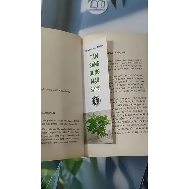 Tâm Sáng Dung Mạo Sáng - Thích Giác Hiếu 928541