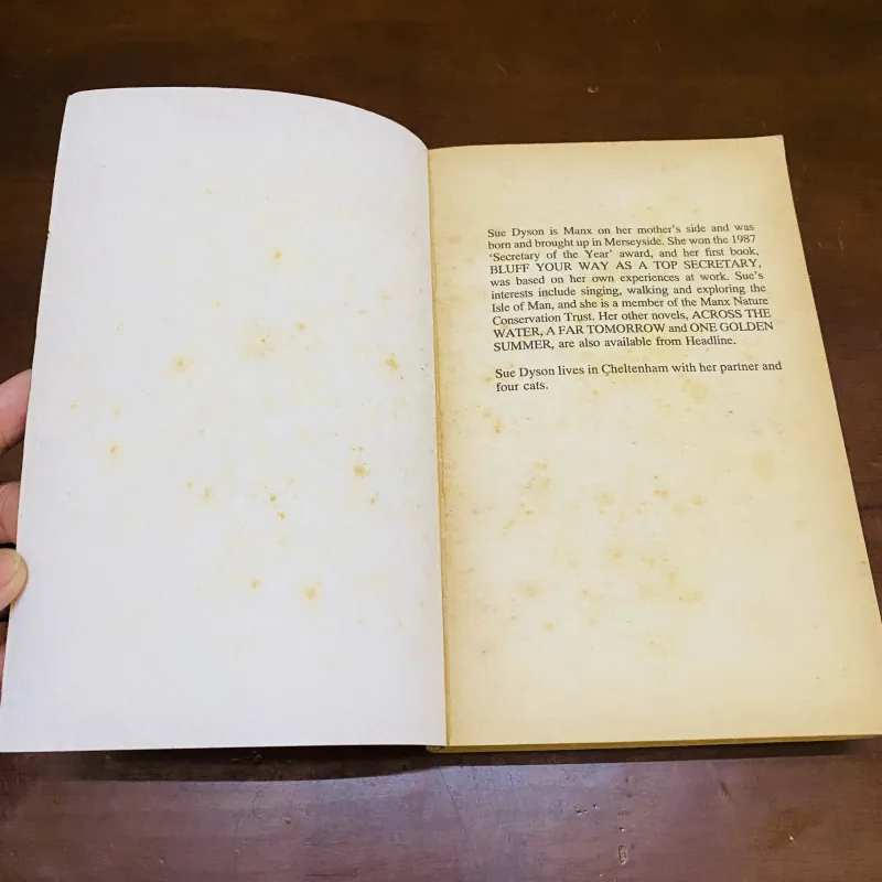 Fairfield rose - Sue Dyson  990595