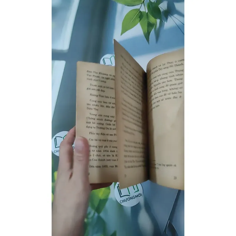 [XƯA] Kể Chuyện Các Vương Phi, Công Chúa, Nữ Cung Triều Nguyễn (1997) - Tôn Thất Bình 970269