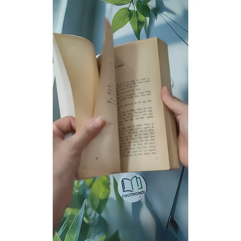 Lịch Sử Văn Minh Thế Giới - Vũ Dương Ninh 970245