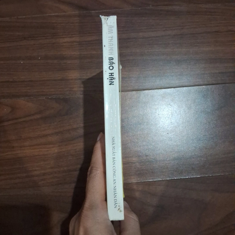 Âm thanh báo hận 526327