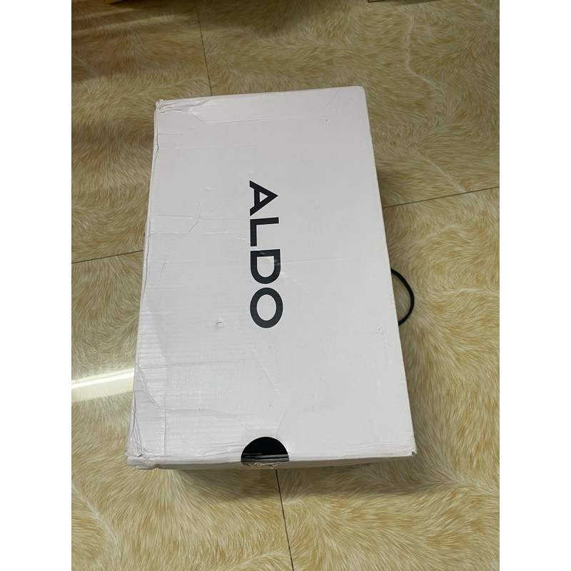 Giày Aldo size 42 509393
