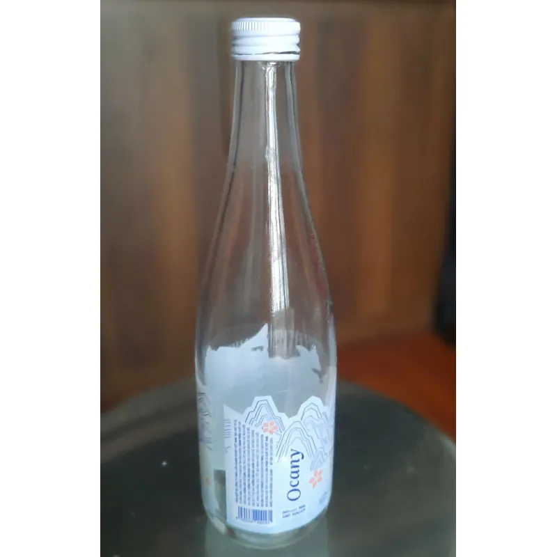 vỏ chai nước suối thủy tinh cao cấp với thiết kế sang trọng, lịch sự 1024368