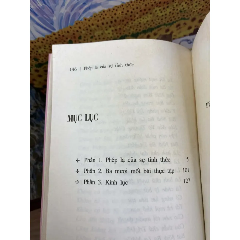 Phép Lạ Của Sự Tỉnh Thức - Thích Nhất Hạnh 992483