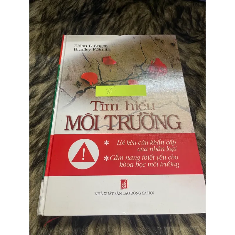 Tìm hiểu môi trường 598606