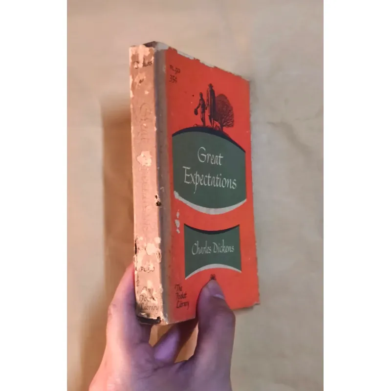 Great Expectations - Charles Dickens 999827
