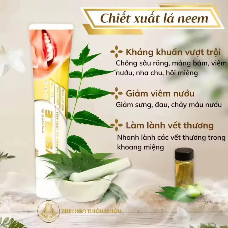 Kem đánh răng thảo dược Vsmile cho bé ngừa sâu răng dùng cho người niềng răng, dưỡng nướu 972168
