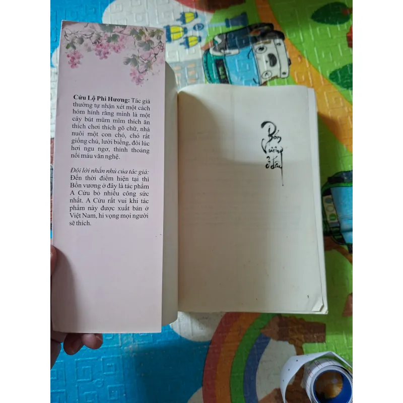 Bổn Vương Ở Đây 788454