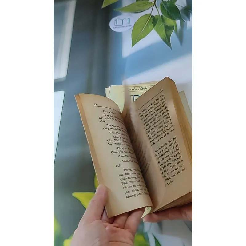 Trọn bộ Trại hoa vàng (4 tập) 607740