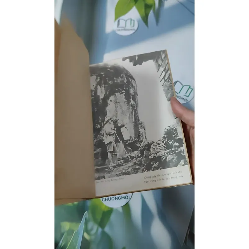 [MIỄN PHÍ BỌC SÁCH] [XƯA] [HIẾM] Cách Mạng Mùa Thu Và Giang Sơn Tuổi Trẻ (1992) 928584