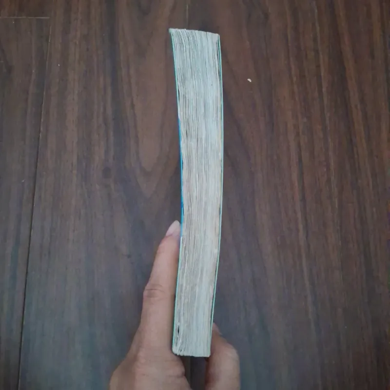 Búp sen xanh 748154