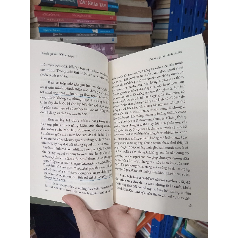 Hạnh phúc đích thực: Sức mạnh của thiền - Sharon Salzberg (Tố Khanh dịch) 455387