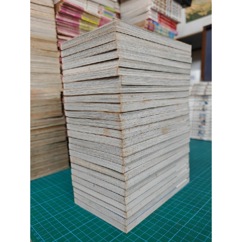 Truyện tranh đấu trường rực lửa 460839