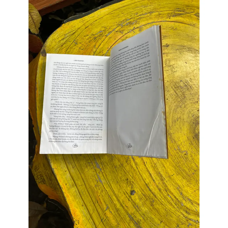 ANNA KARENINA- LEO TOLSTOY 726569