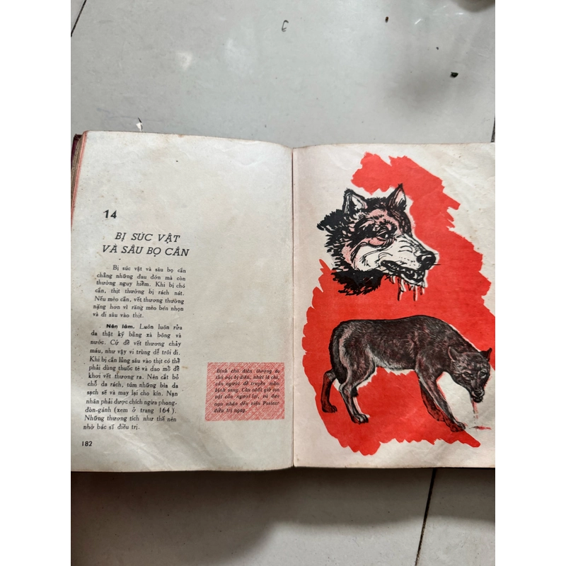 Sức khoẻ trường thọ 522706