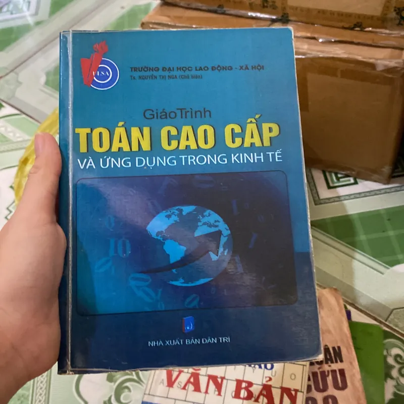 Giáo trình Toán Cao Cấp và Ứng dụng trong Kinh tế 1007200