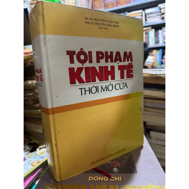 Tội phạm kinh tế thời mở cửa 517384
