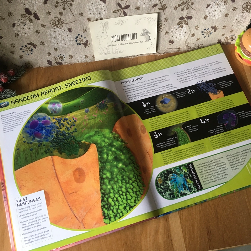 Sách tranh Inside You: How Your Body Makes It Through Every Day, Used, còn CD 442994