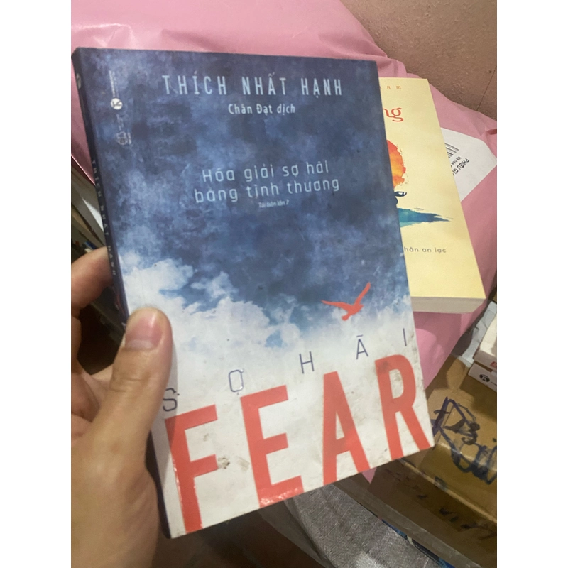 Fear Sợ Hãi - Hóa Giải Sợ Hãi Bằng Tình Thương 5510