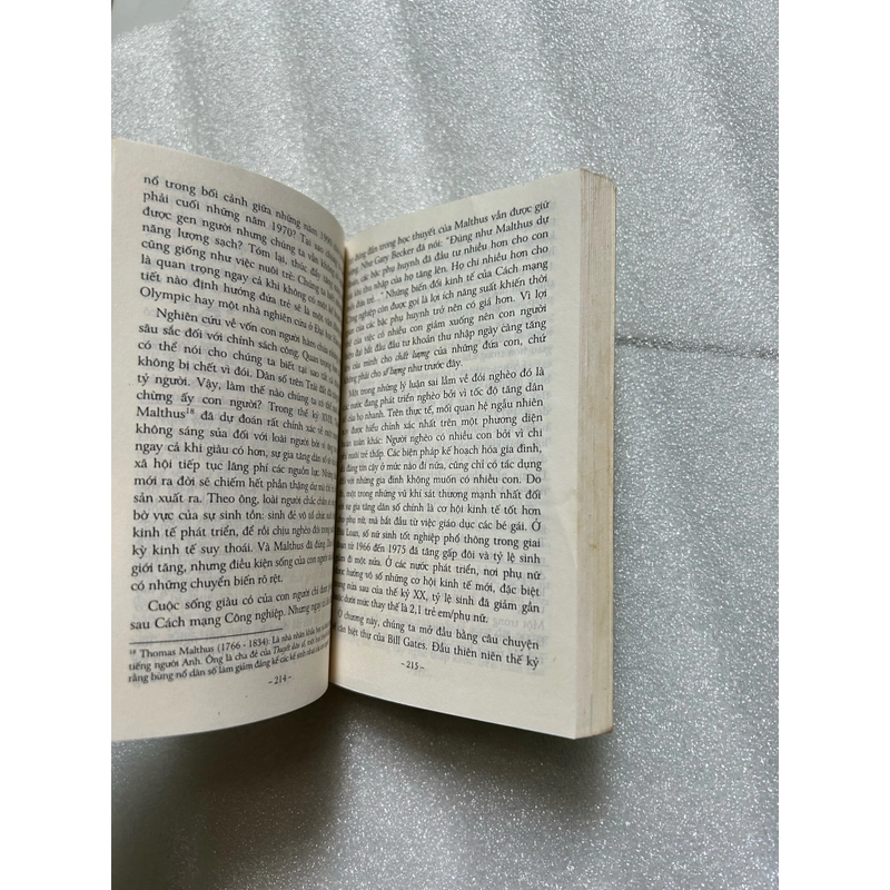 Đô-la Hay Lá Nho ? Khổ nhỏ 530847