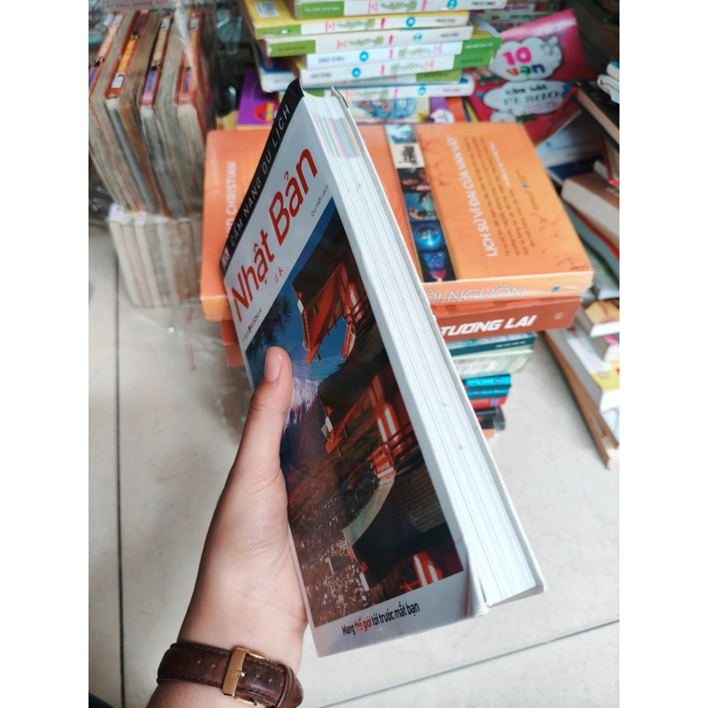 Nhật Bản 🌱 552834