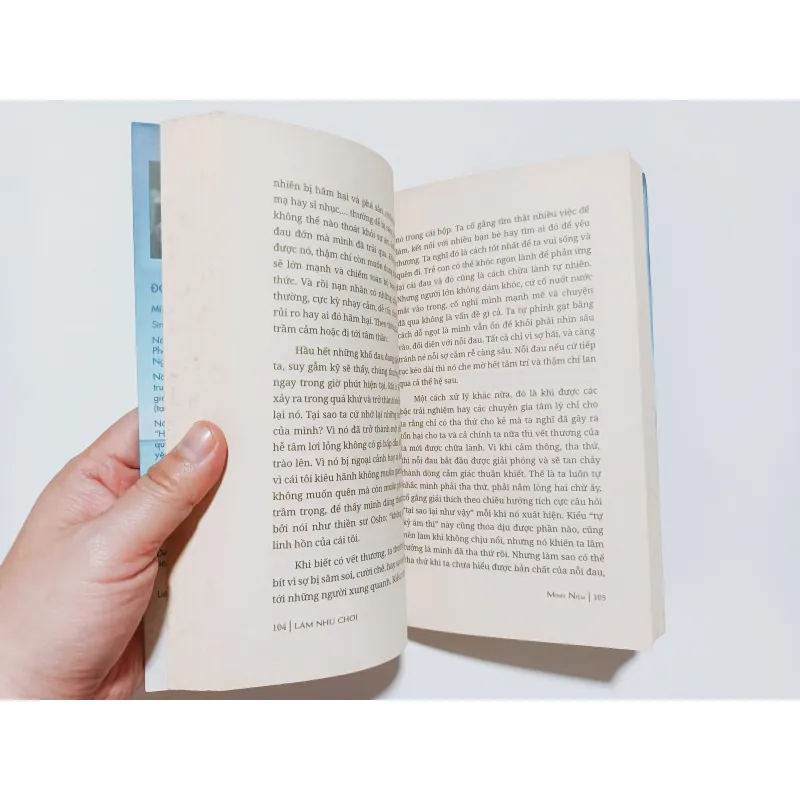 Làm Như Chơi - Minh Niệm 788457