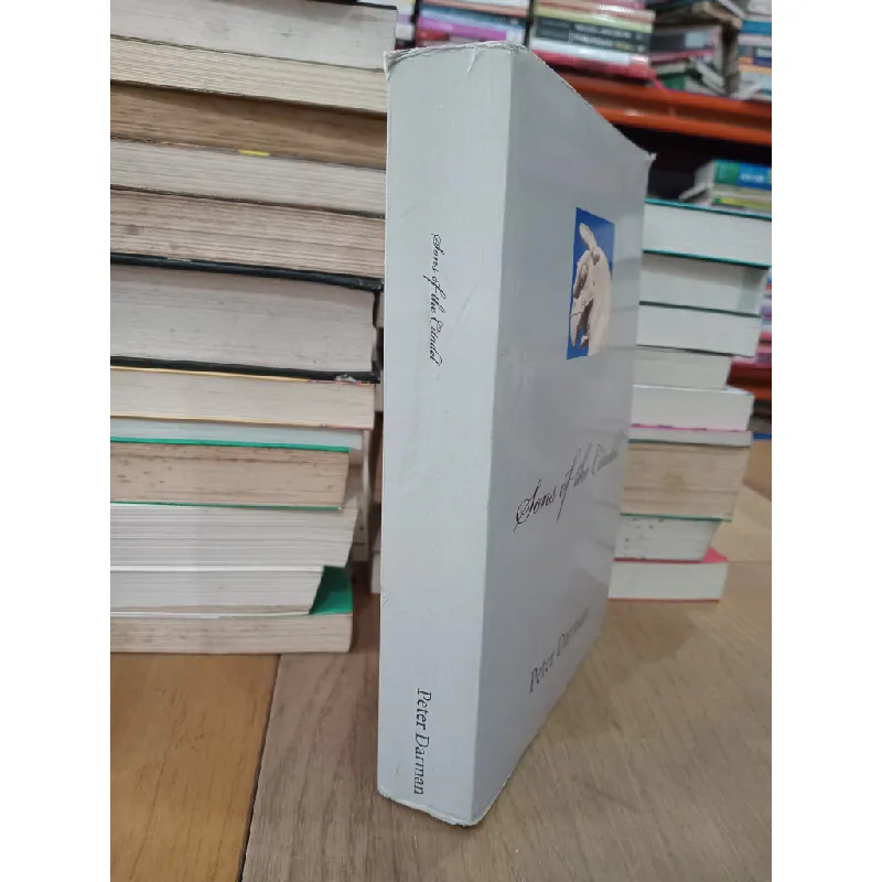 Sons of the Citadel - Peter Darman 701504