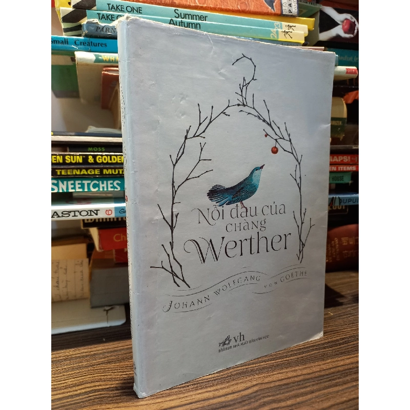 Nỗi đau của chàng Werther - J.W. Goethe 122126