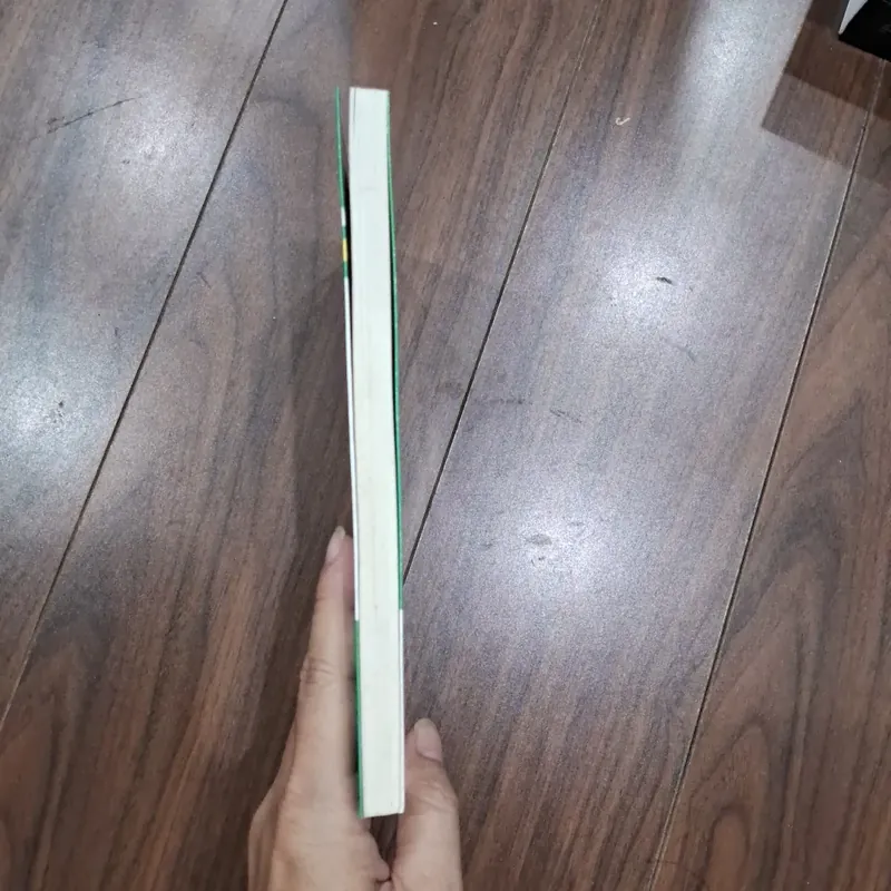 Hoa tulip đen 717723