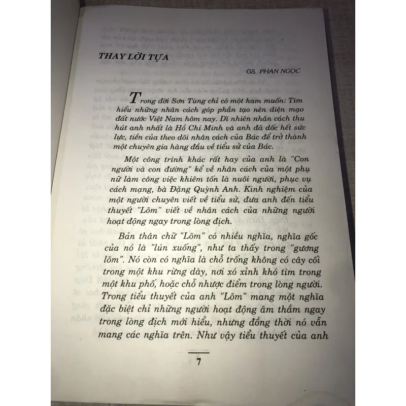 Lõm-Sơn Tùng 993889