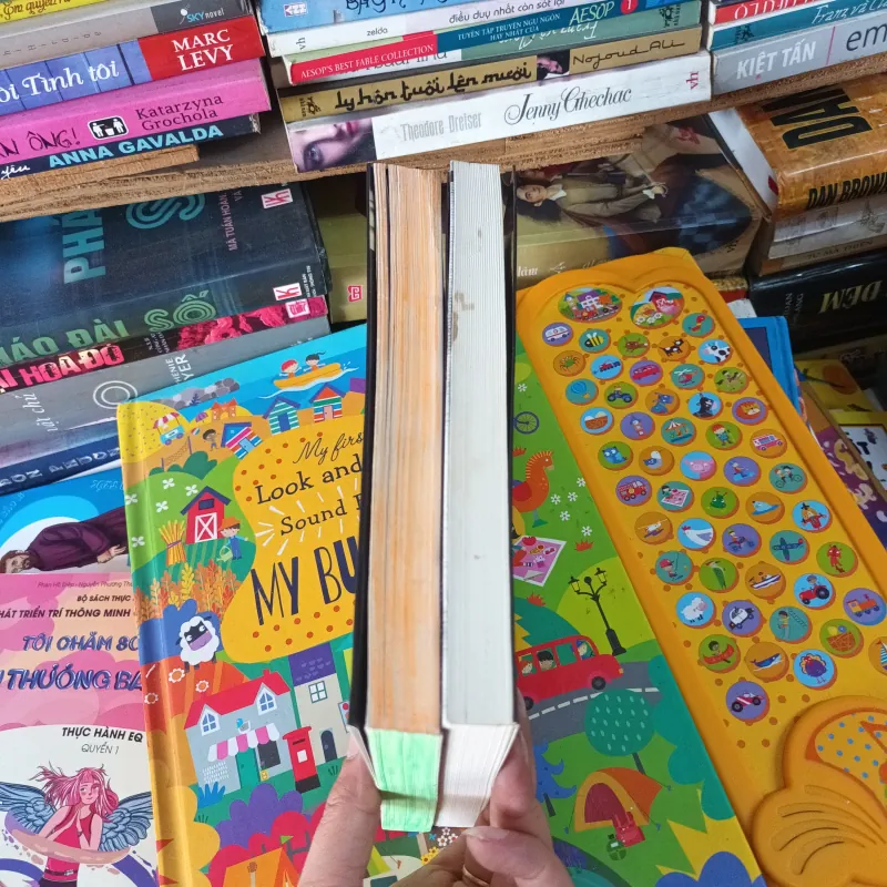 Vùng nước hắc ám + ring vòng tròn ác nghiệt - Suzuki Koji 972812