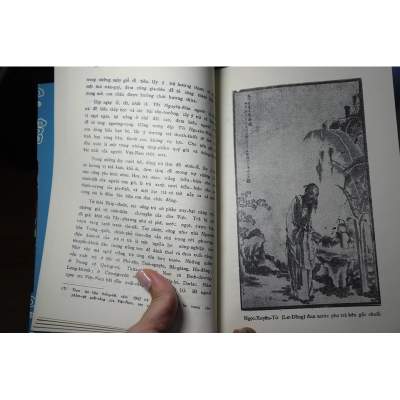 HƯƠNG TRÀ 1968- Đỗ Trọng Huề  465802