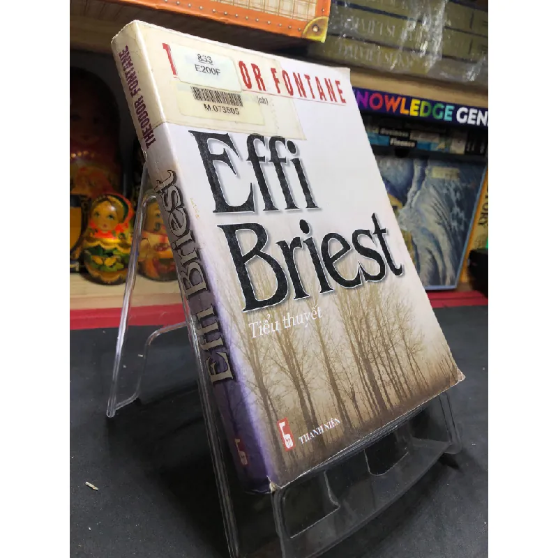 Effi Briest 2006 mới 70% ố bẩn nhẹ Theodoor Fontane HPB0906 SÁCH VĂN HỌC Blogmeo21025 582115