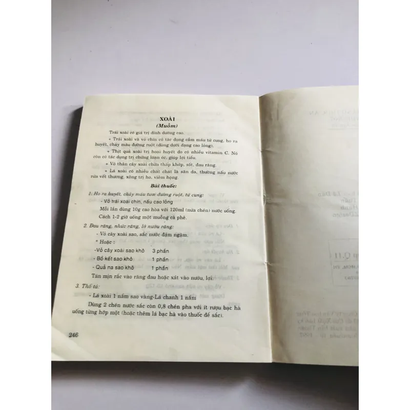 CHỮA BỆNH BẰNG THỨC ĂN THÔNG THƯỜNG  695242