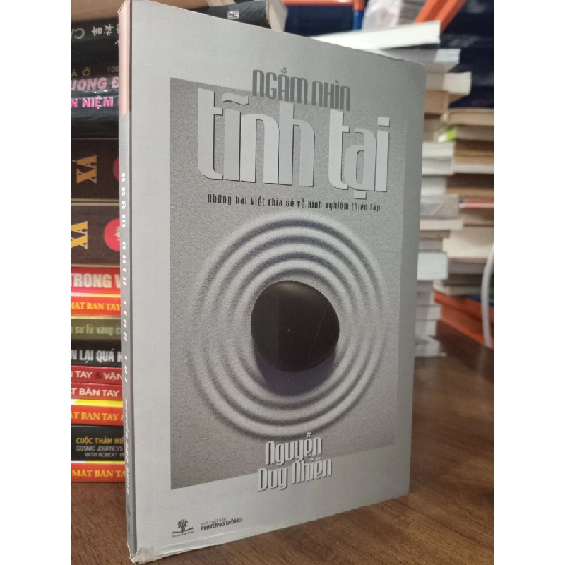 Ngắm nhìn tĩnh tại - Nguyễn Duy Nhiên 367763