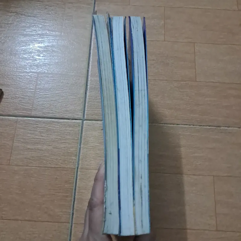 Mùa hè thiên đươbgf 1008575